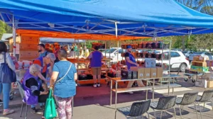 Registration Despatch