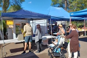 Chilled Frozen Stall